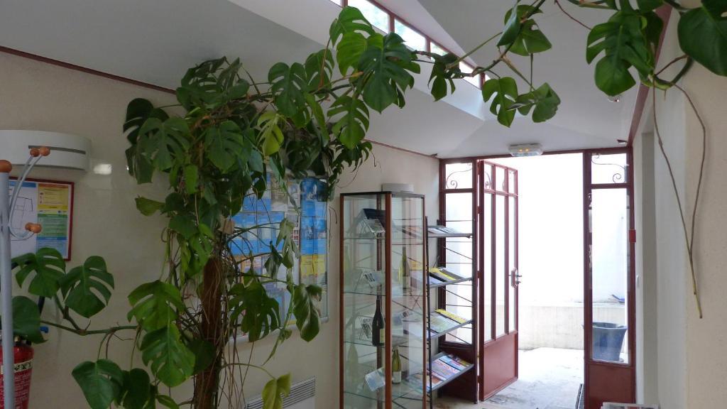 La Maison Des Randonneurs Pansiyon Auxerre Dış mekan fotoğraf